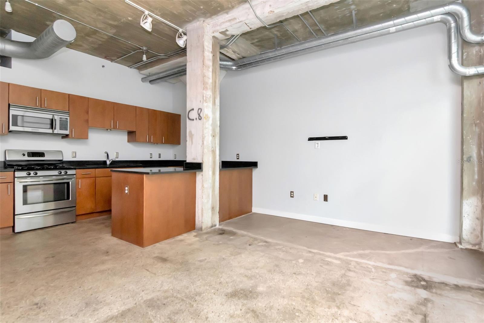 VICTORY LOFTS CONDO - Residential