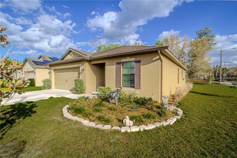 Photo of 3801 Arborvitae Way, Deland, FL 32724 (MLS # O6389600)
