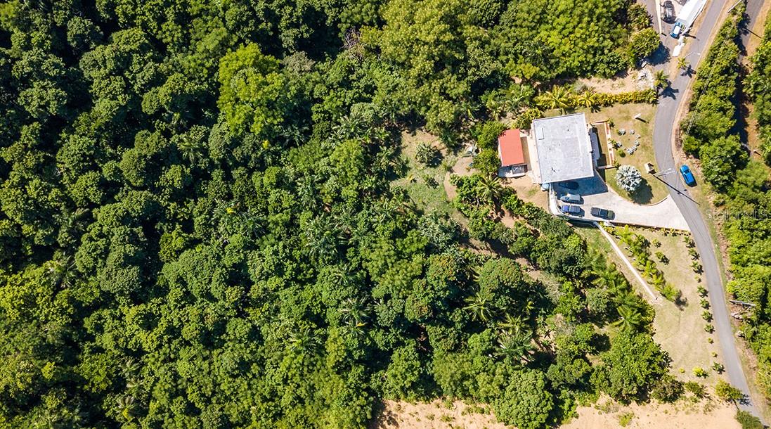 BARRIO CRUCES - Residential