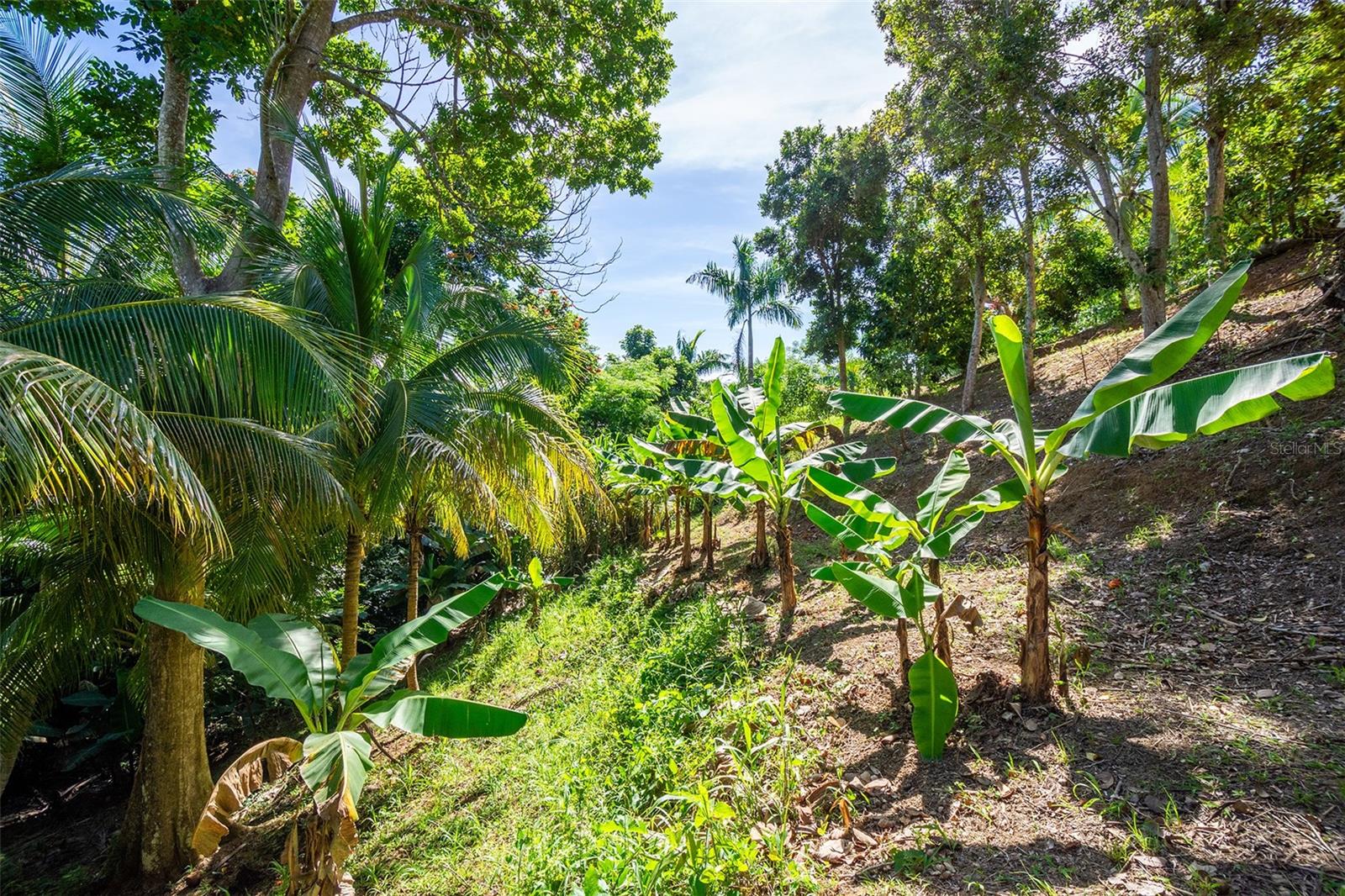 BARRIO CRUCES - Residential
