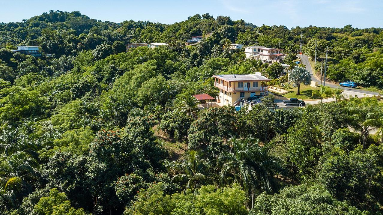 BARRIO CRUCES - Residential