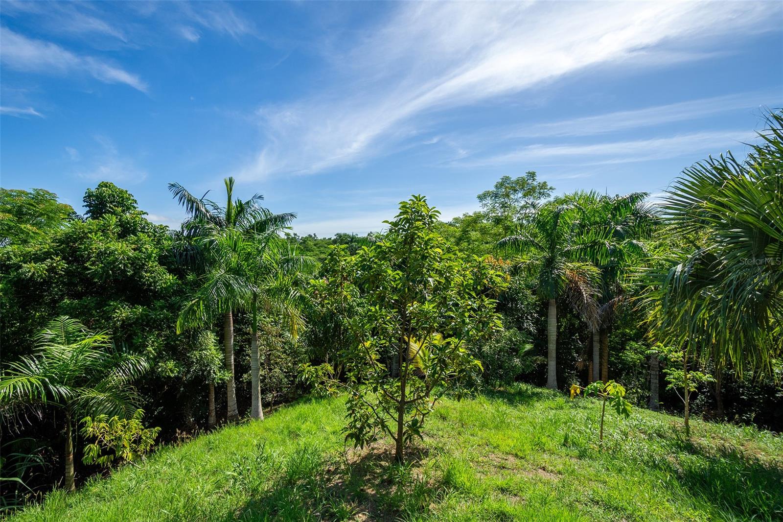 BARRIO CRUCES - Residential
