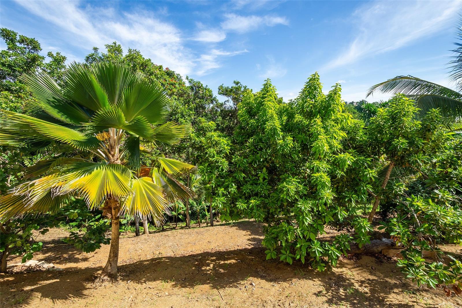 BARRIO CRUCES - Residential