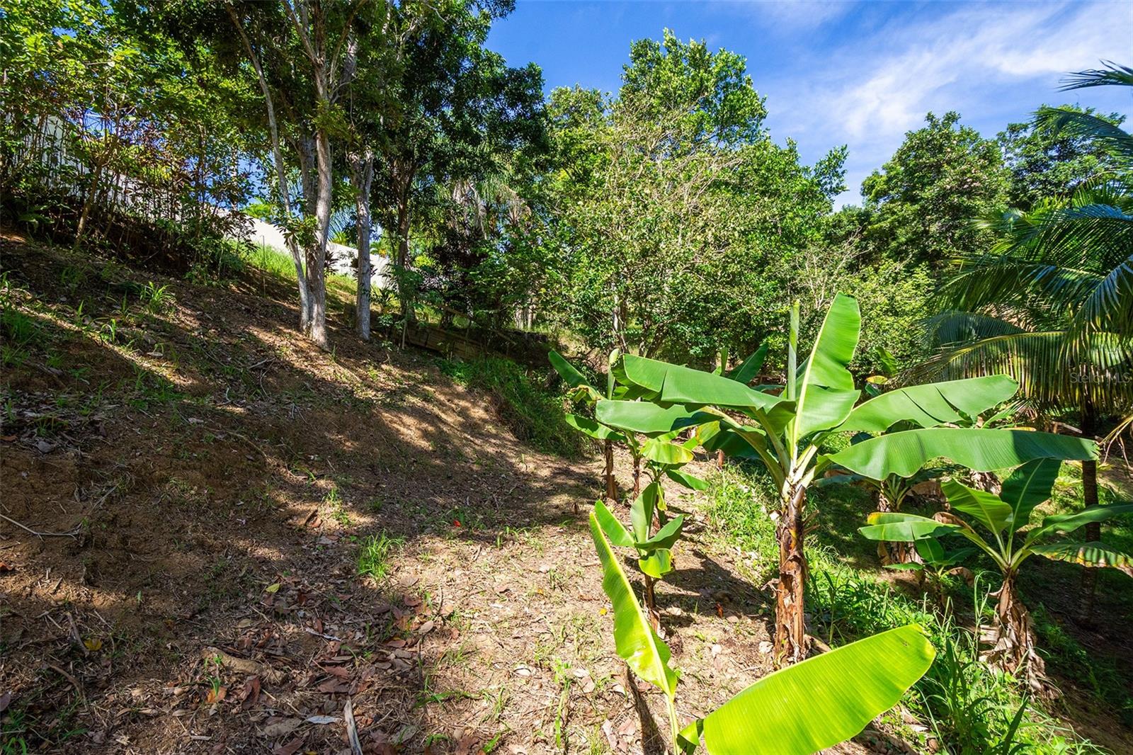 BARRIO CRUCES - Residential