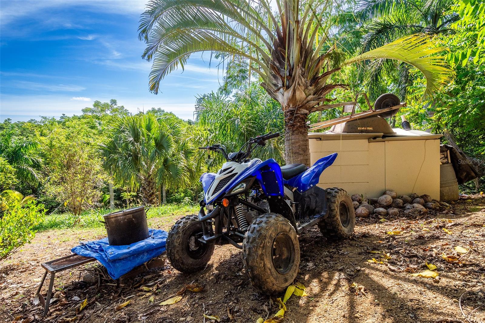 BARRIO CRUCES - Residential