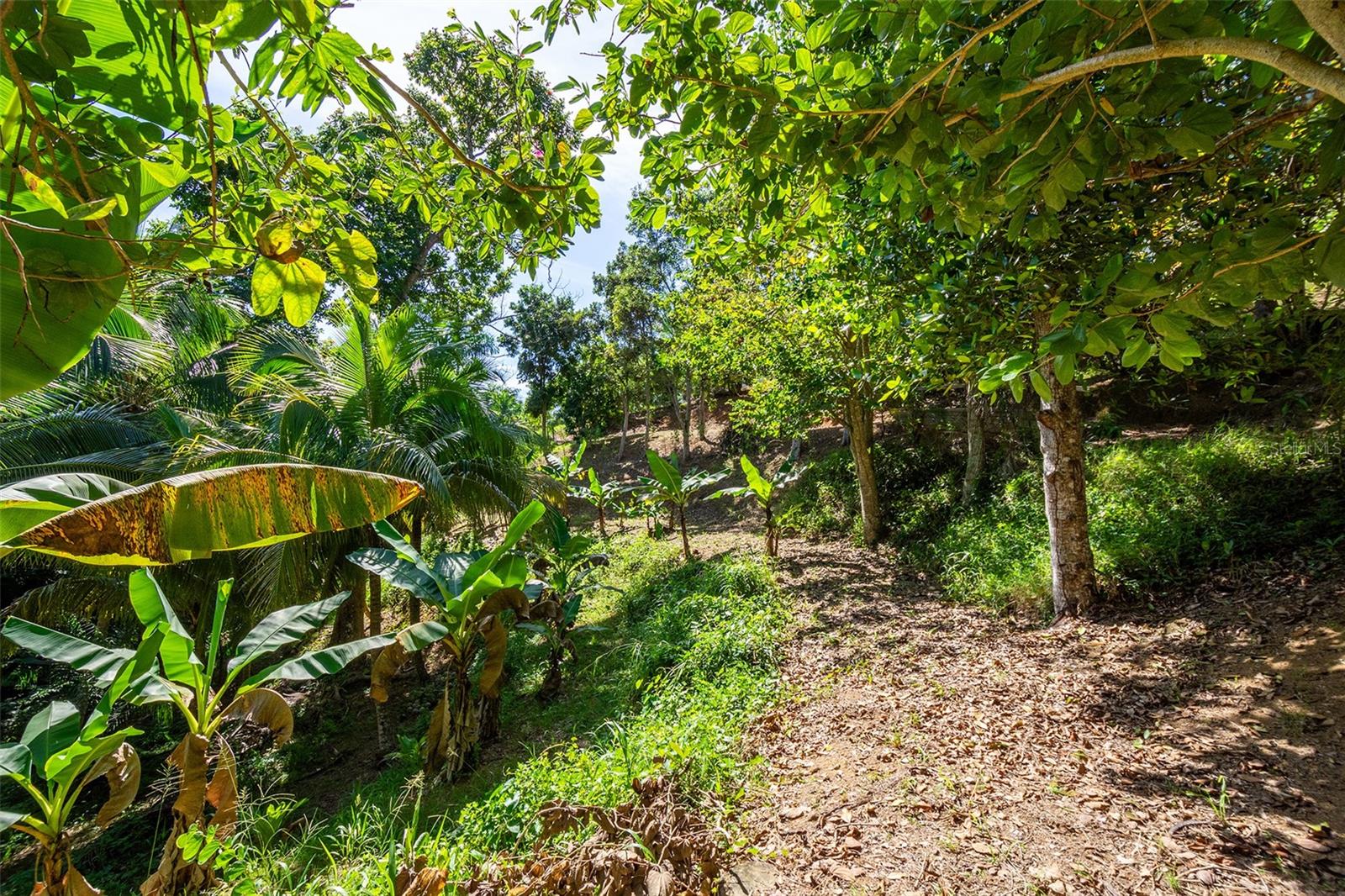 BARRIO CRUCES - Residential