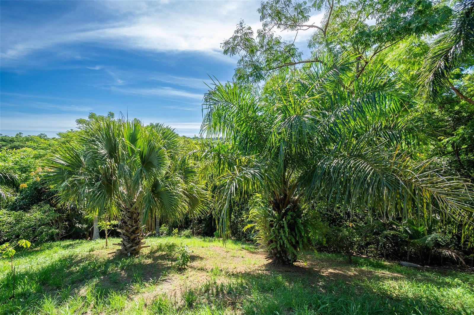 BARRIO CRUCES - Residential