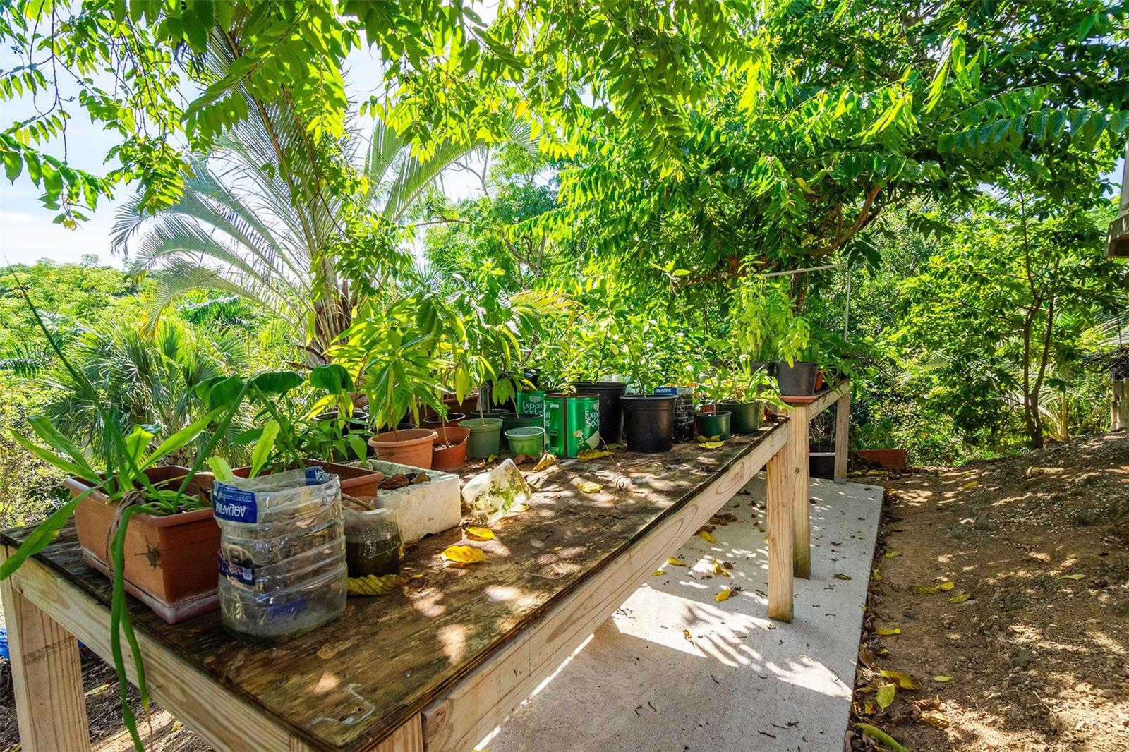 BARRIO CRUCES - Residential