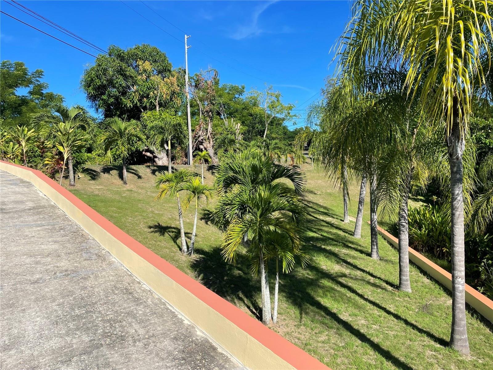 BARRIO CRUCES - Residential