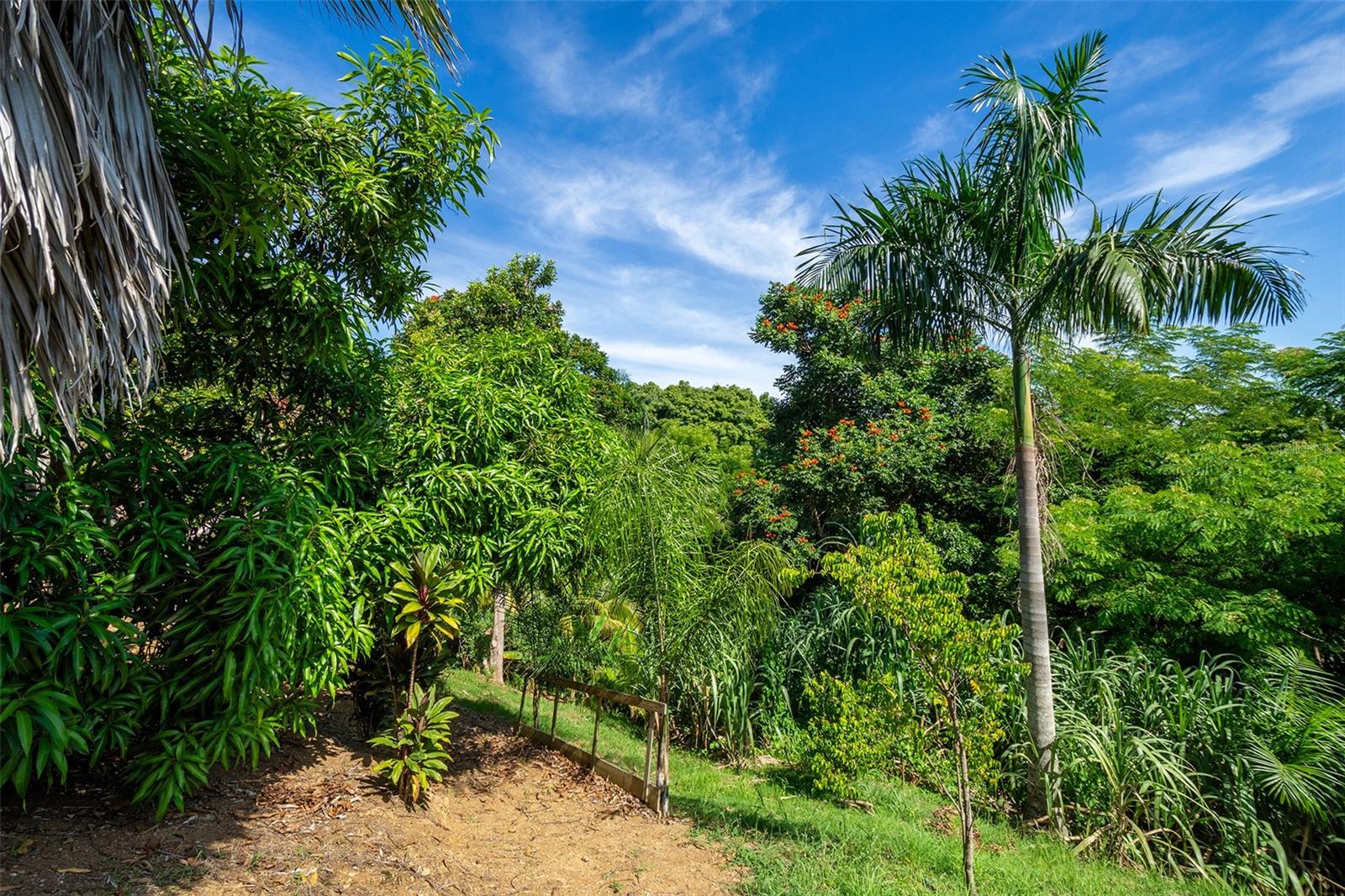 BARRIO CRUCES - Residential