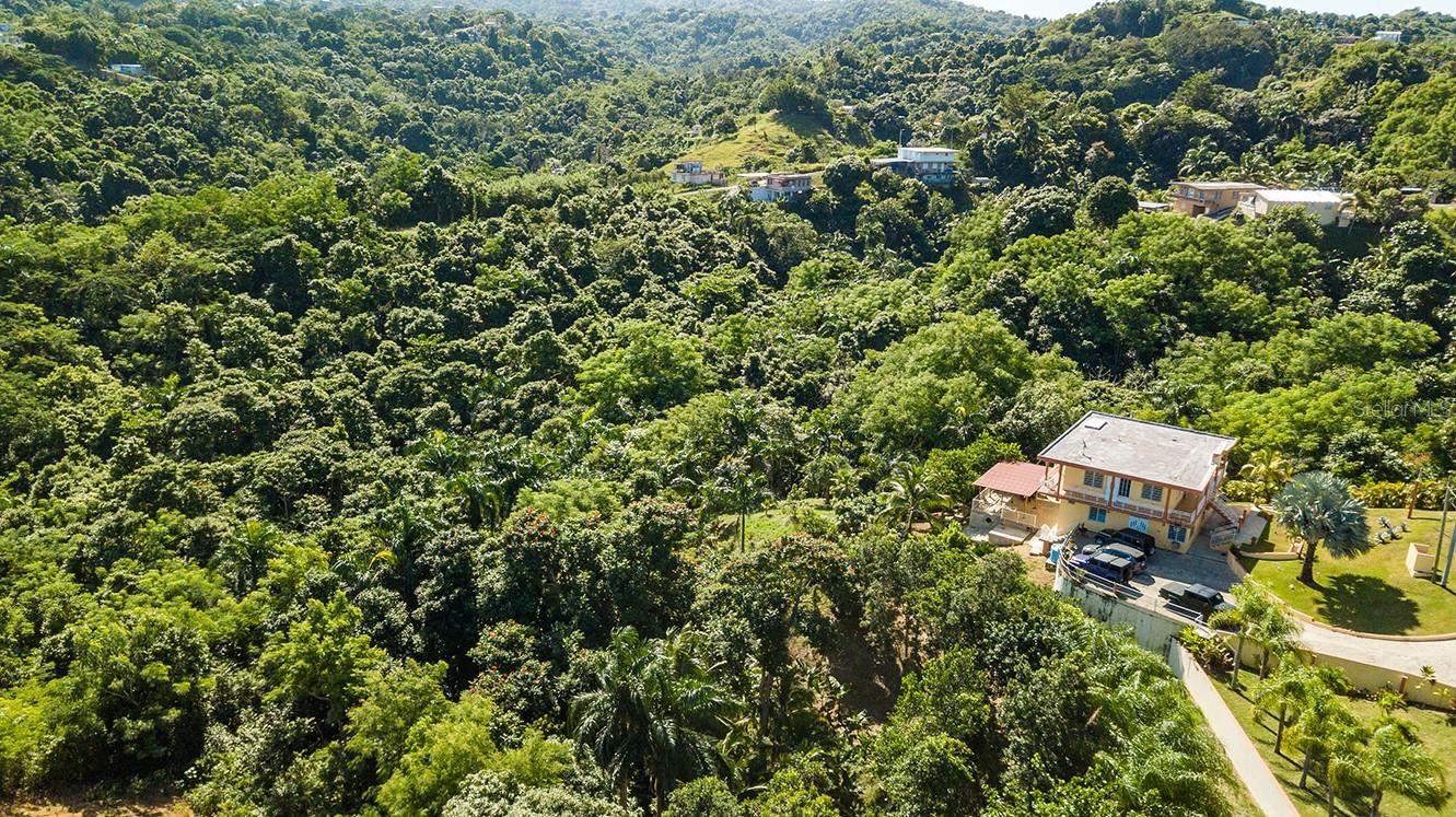 BARRIO CRUCES - Residential