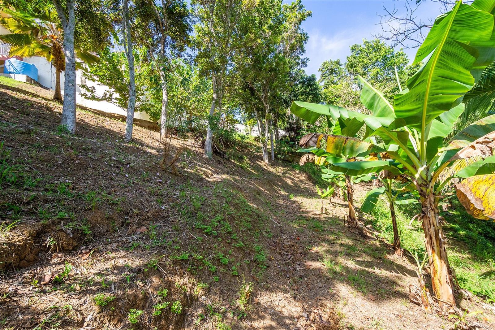 BARRIO CRUCES - Residential