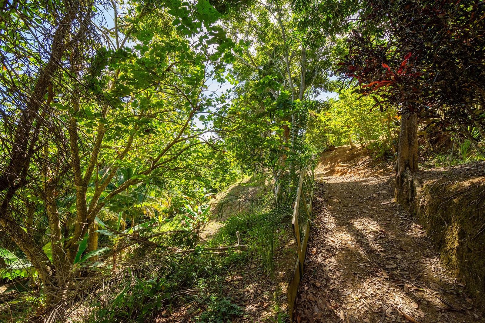 BARRIO CRUCES - Residential