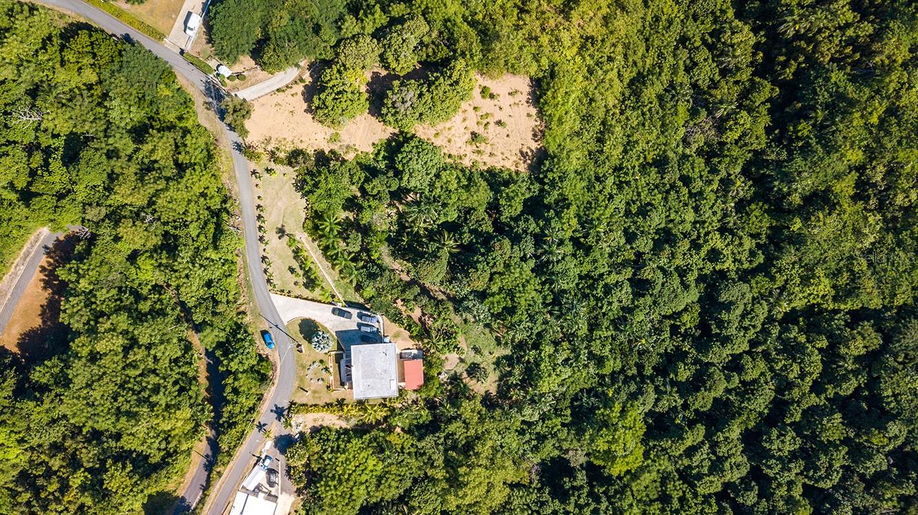 BARRIO CRUCES - Residential