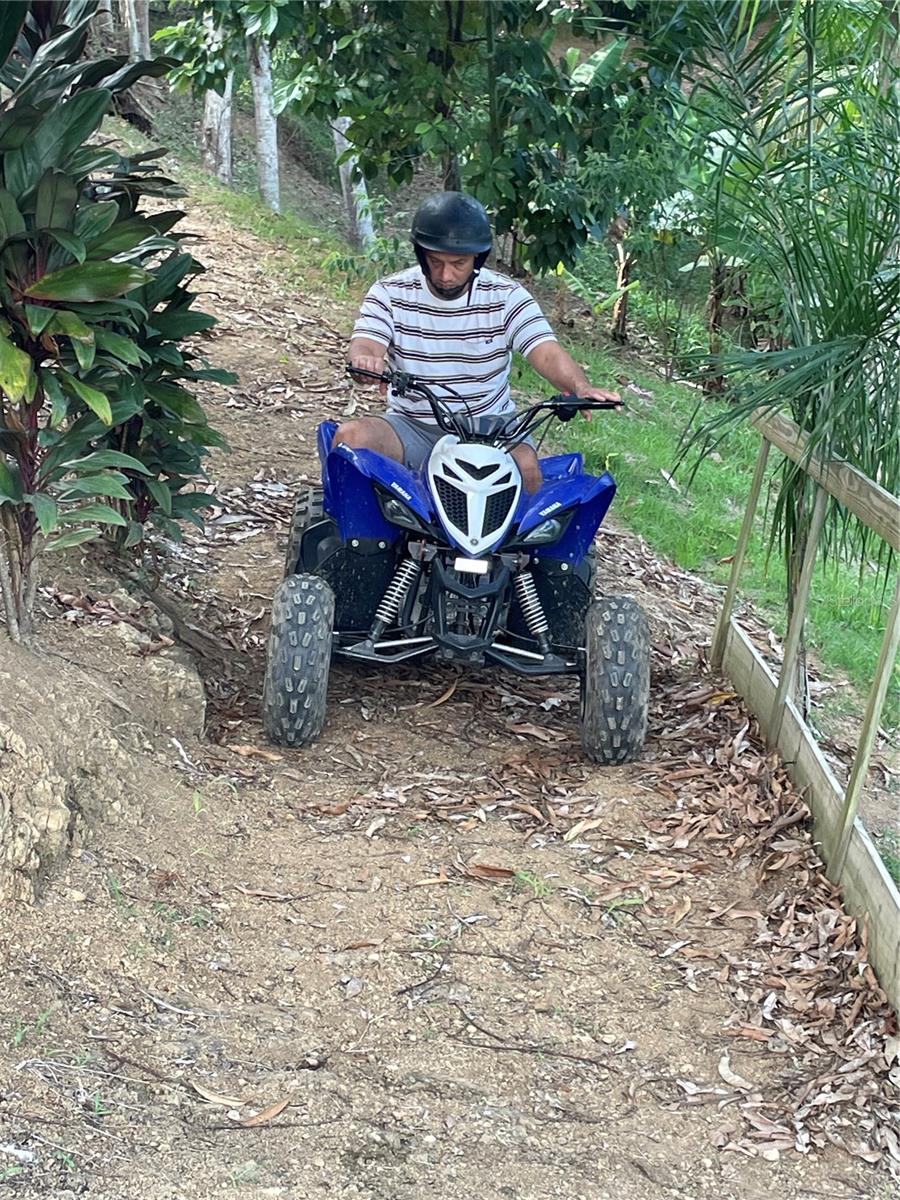 BARRIO CRUCES - Residential