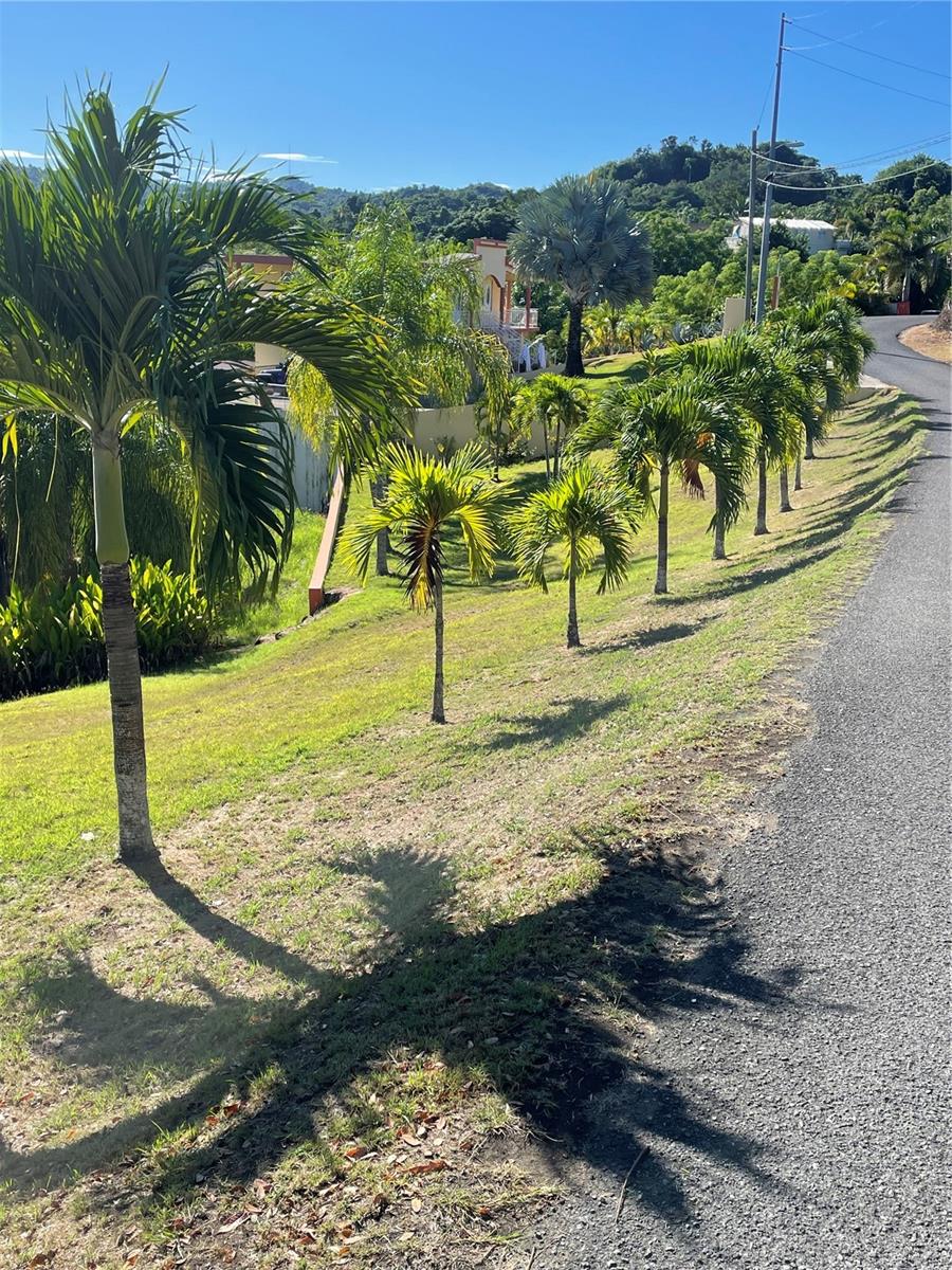 BARRIO CRUCES - Residential