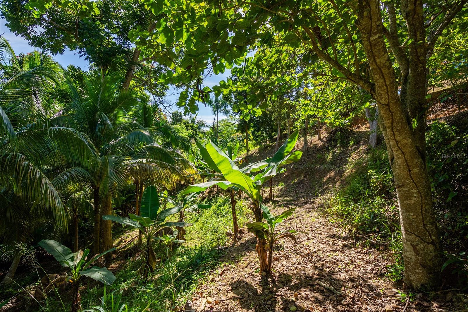 BARRIO CRUCES - Residential