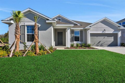 Photo of 17397 Crisp Apple Lane, Land O Lakes, FL 34638 (MLS # G5101120)