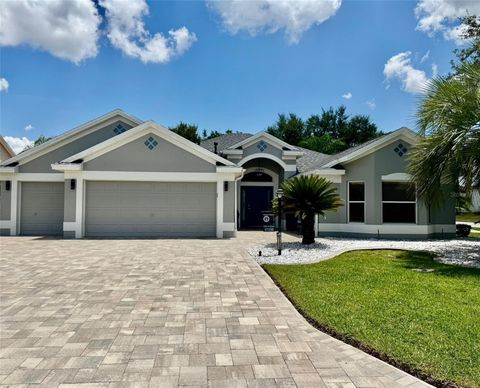 17339 SE 80TH TURNBULL COURT THE VILLAGES FL 32162