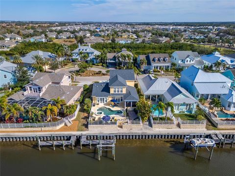 A home in APOLLO BEACH