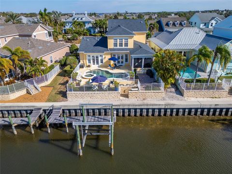 A home in APOLLO BEACH