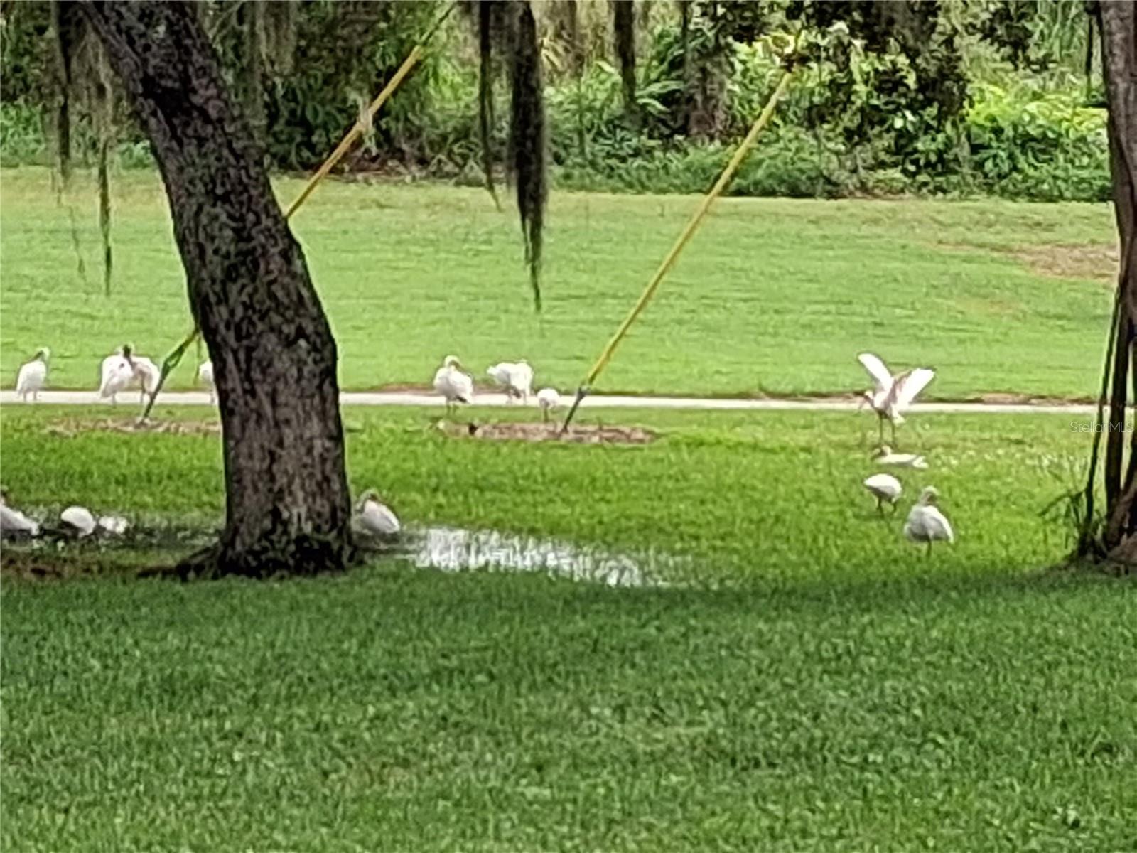 7 VISTA GARDENS TRAIL 105