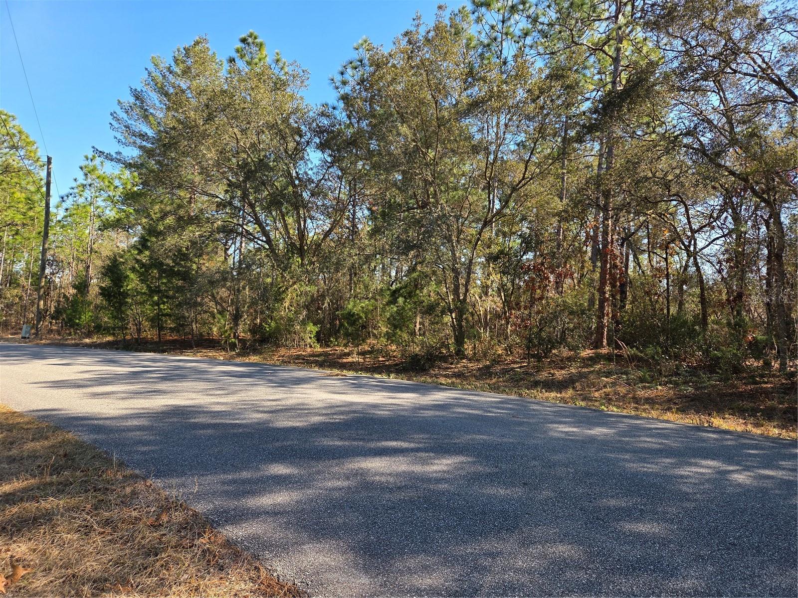 3686 W PARKVIEW DRIVE