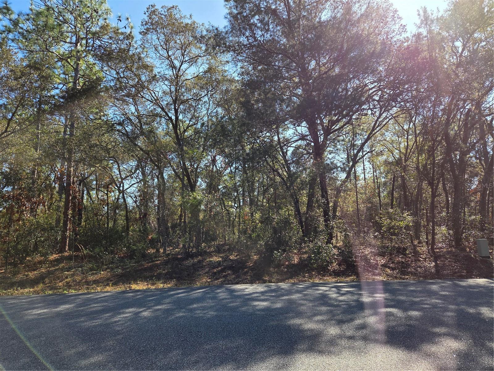 3686 W PARKVIEW DRIVE