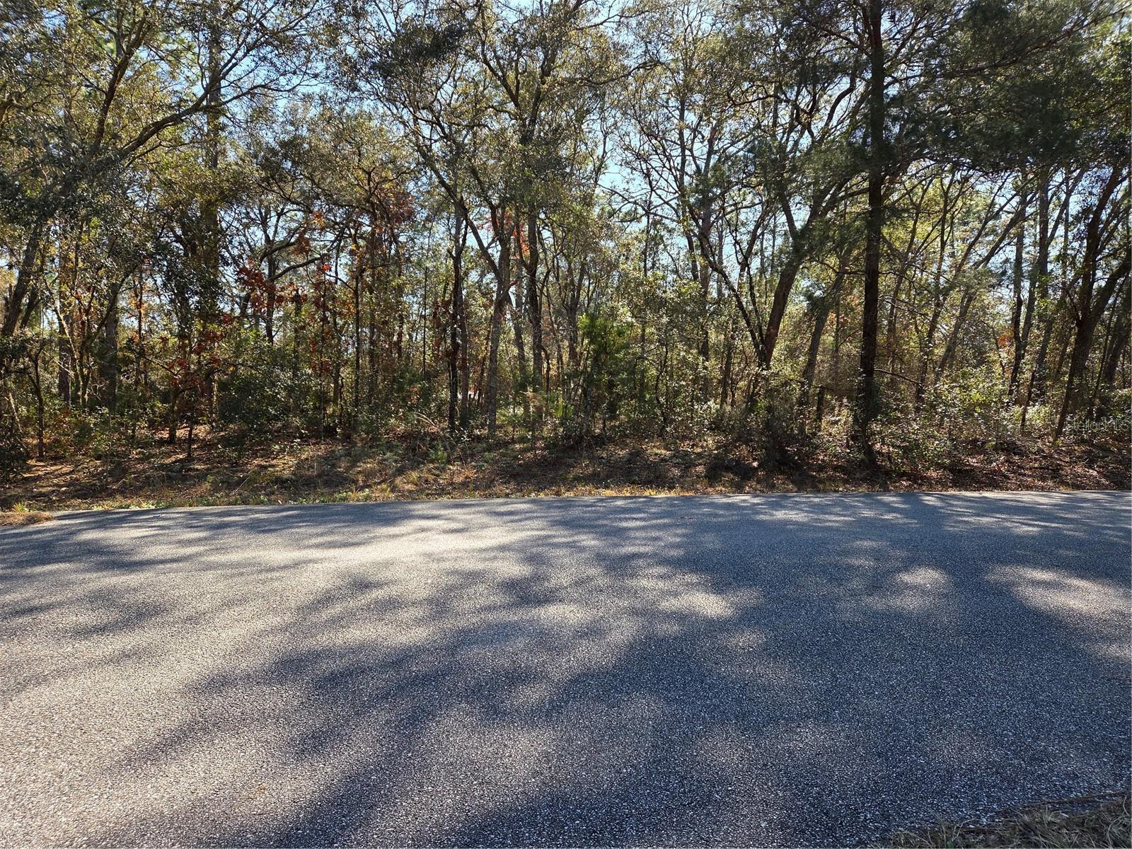 3686 W PARKVIEW DRIVE