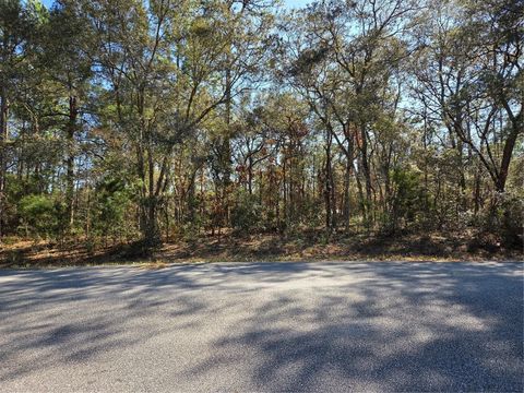 3686 W PARKVIEW DRIVE DUNNELLON FL 34433