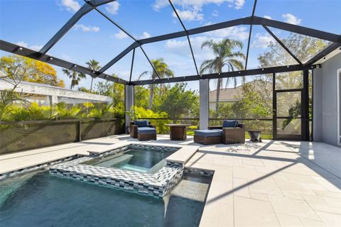 A home in APOLLO BEACH