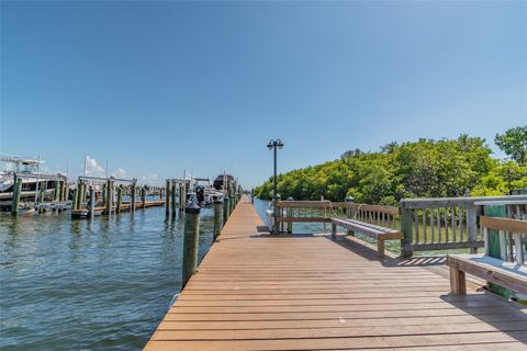 A home in APOLLO BEACH