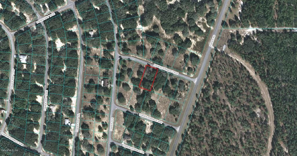 Photo of 00 Fisher Terrace Trace, Ocklawaha, FL 32179 (MLS # OM522975)