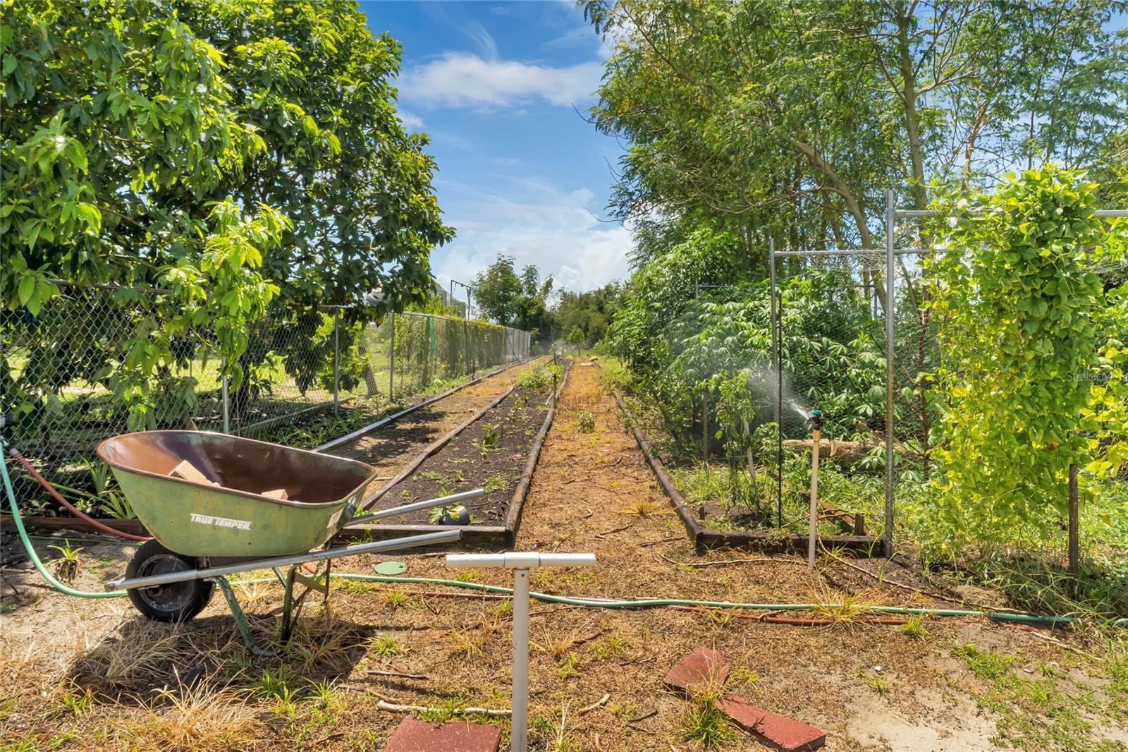 ACREAGE & UNREC - Land