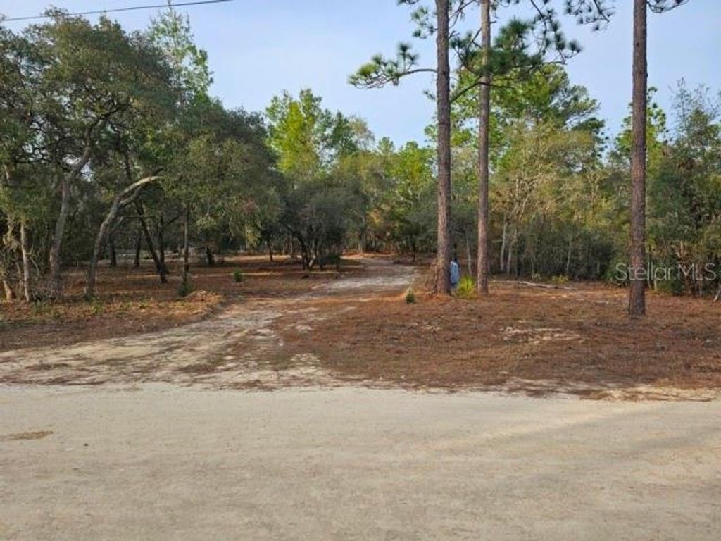 Photo of 6341 W Stockholm Lane, Dunnellon, FL 34433 (MLS # OM717475)