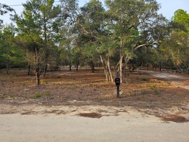 6341 W STOCKHOLM LANE