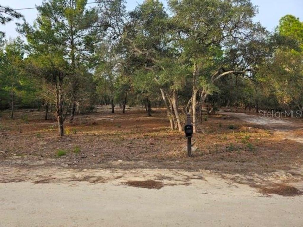 Photo of 6341 W Stockholm Lane, Dunnellon, FL 34433 (MLS # OM717475)