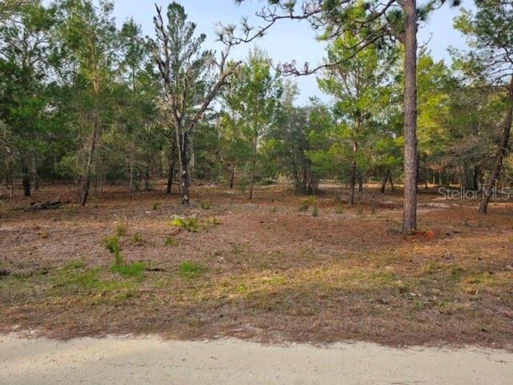 Photo of 6341 W Stockholm Lane, Dunnellon, FL 34433 (MLS # OM717475)