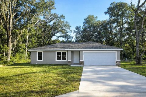 Photo of 2952 SE 142nd Lane, Summerfield, FL 34491 (MLS # OM712183)