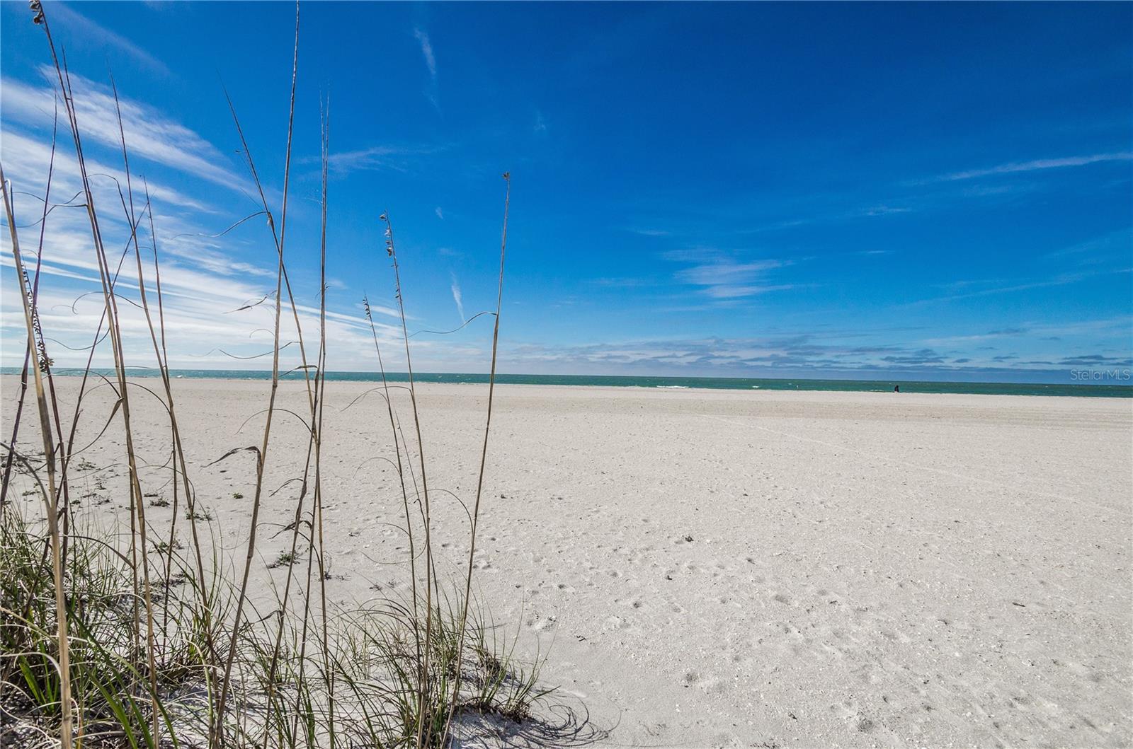 CLEARWATER SAND KEY - Residential