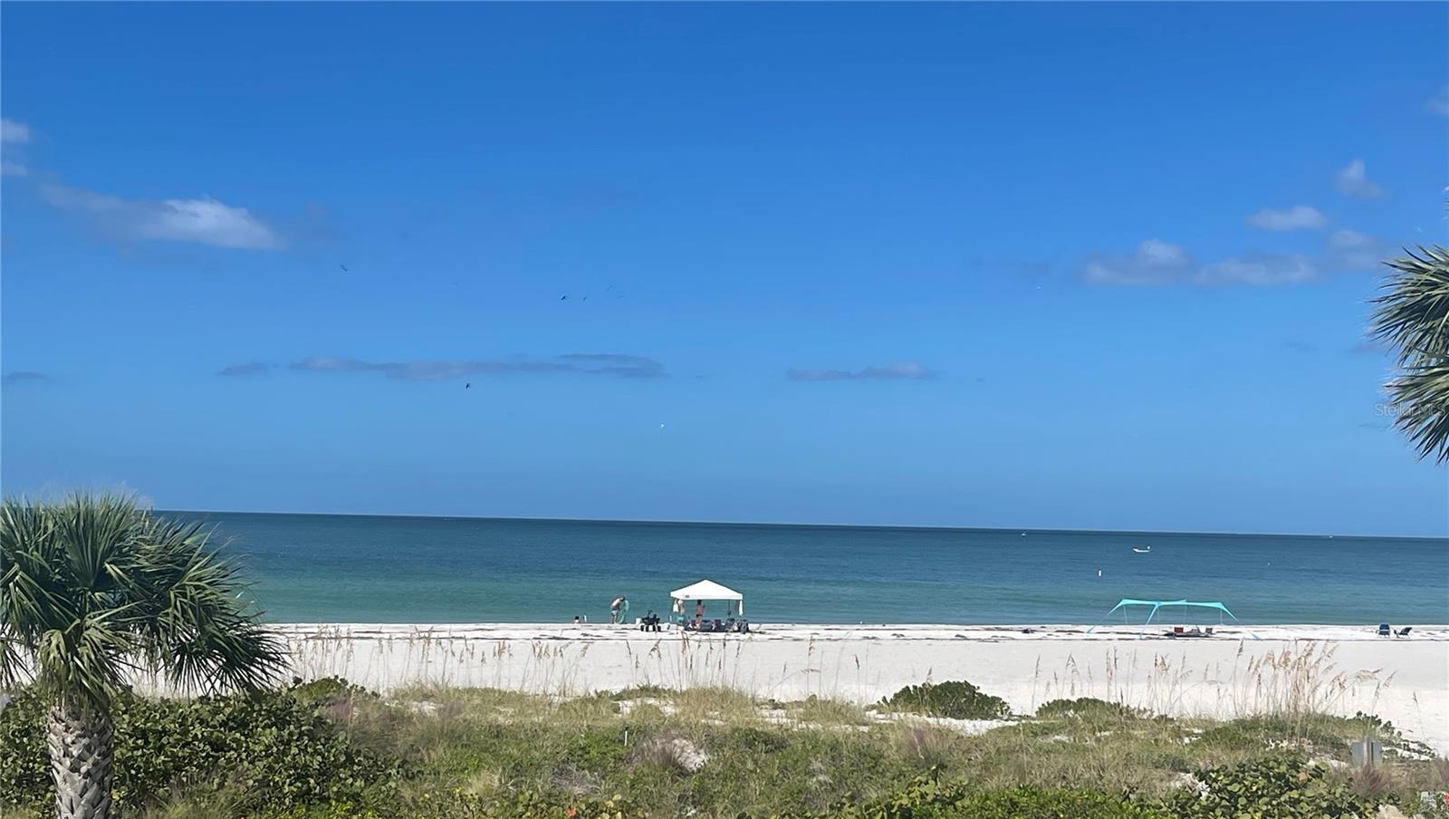 CLEARWATER SAND KEY - Residential