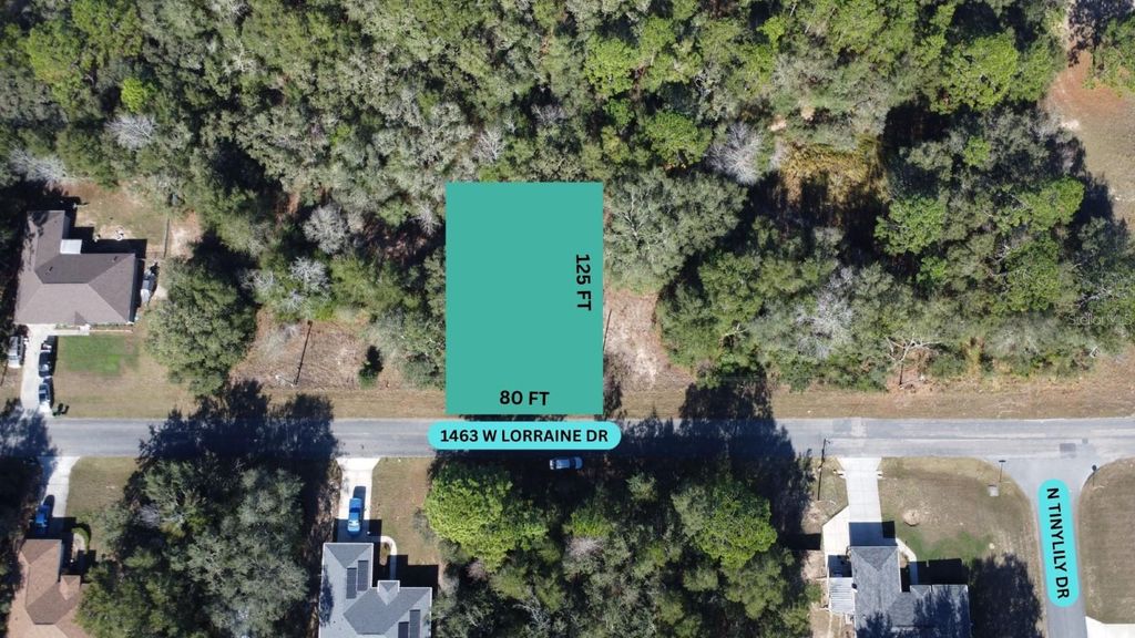 Photo of 1463 W Lorraine Drive, Citrus Springs, FL 34434 (MLS # W7881423)