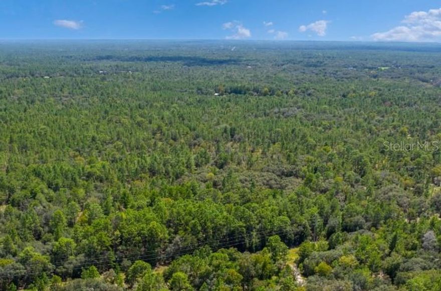 3.44 acres of high and dry land in Dunnellon.