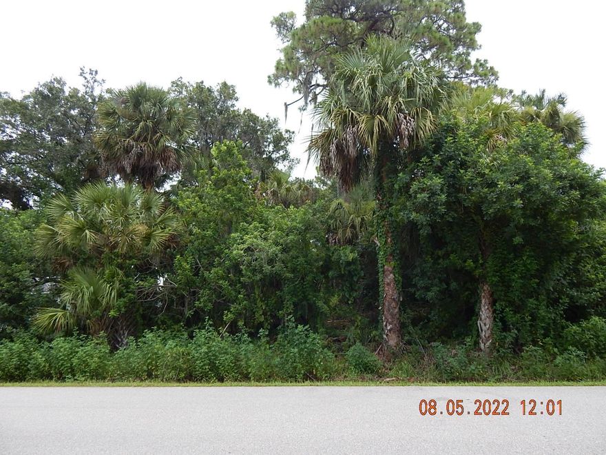 Build your dream home and start living the Florida lifestyle! This beautiful lot is in a sought-after and growing area of North Port. Great location and amenities, including world-class fishing, boating, golfing, stunning beaches, entertainment, and shopping. Buy today and own your slice of Paradise.