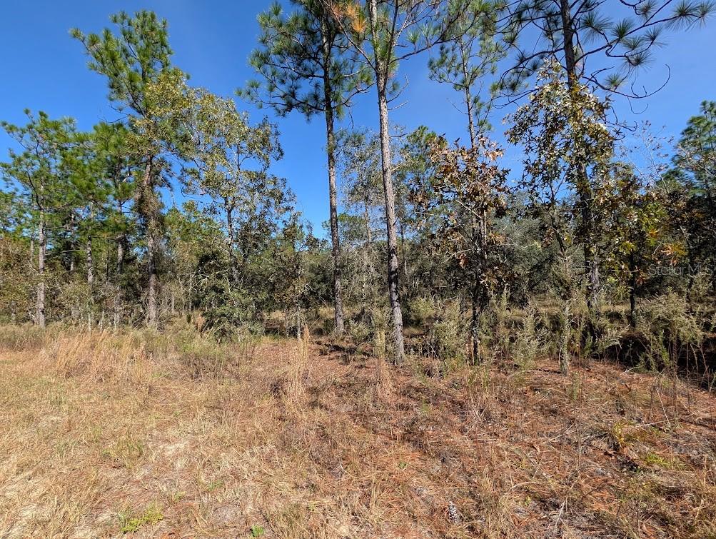 RAINBOW LAKES ESTATES - Land