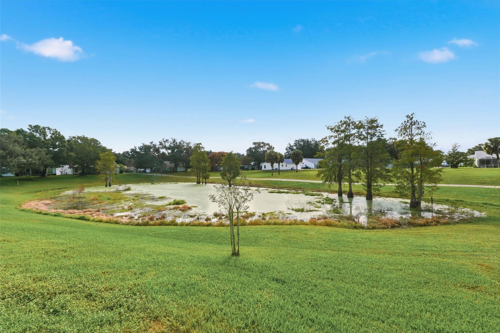 PLANTATION AT LEESBURG GLEN EAGLE VILLAGE TR A-E - Residential
