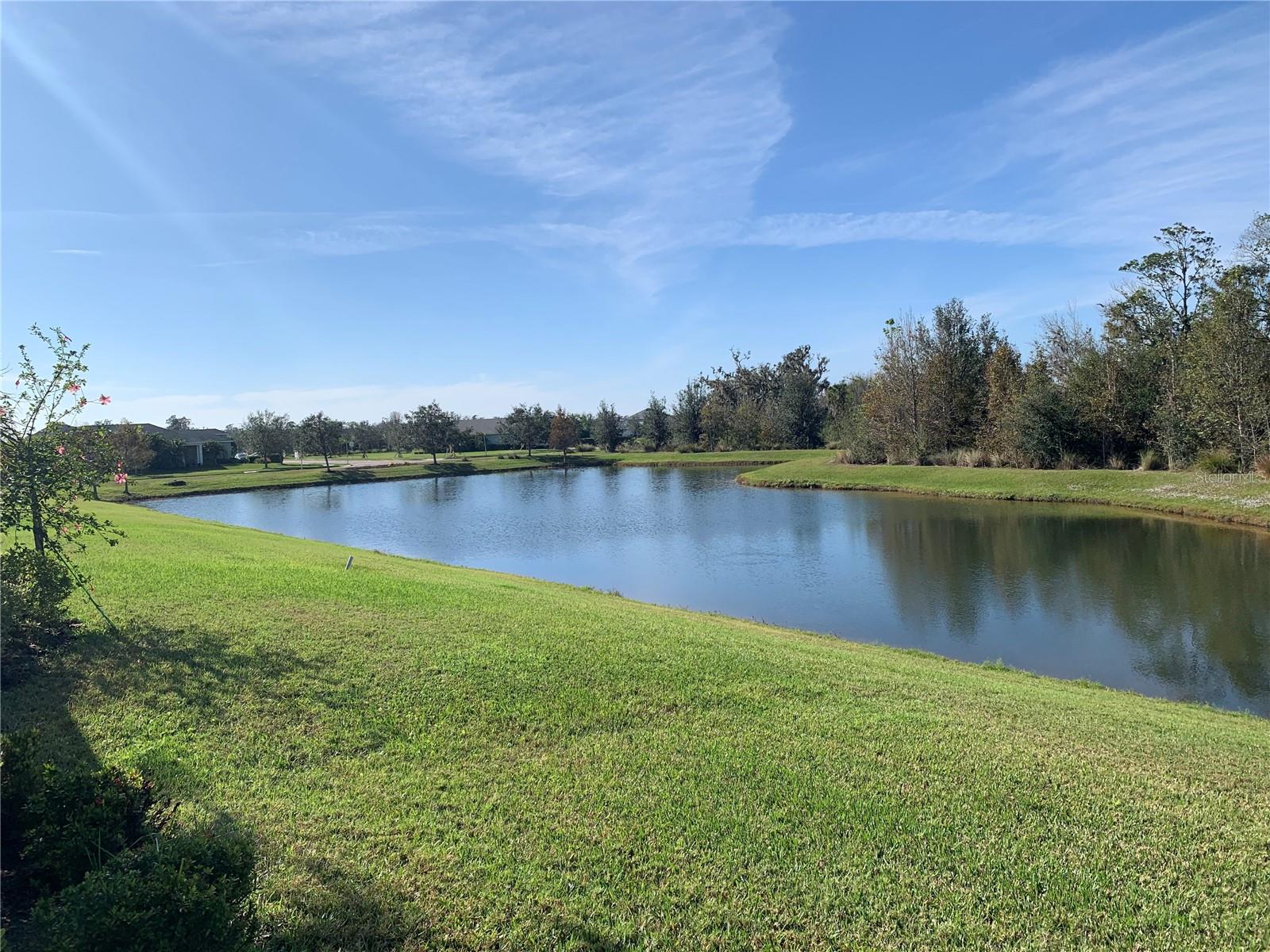 SILVERLEAF PH I-D - Residential