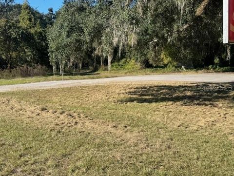Tiny photo for 11542 S Us Highway 301, Webster, FL 33597 (MLS # G5104272)