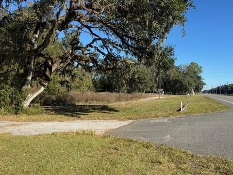 Tiny photo for 11542 S Us Highway 301, Webster, FL 33597 (MLS # G5104272)