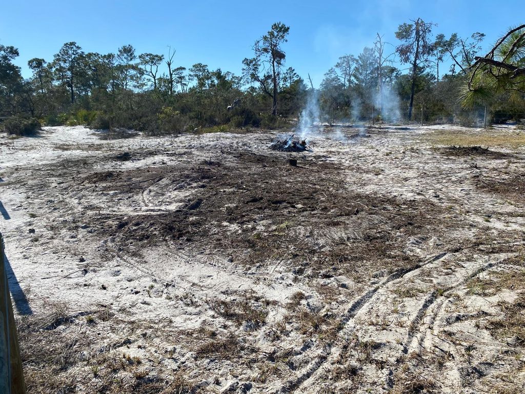 Photo of 3216 Flatbush Avenue, Lake Placid, FL 33852 (MLS # TB8498767)